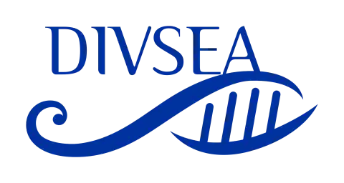Divsea